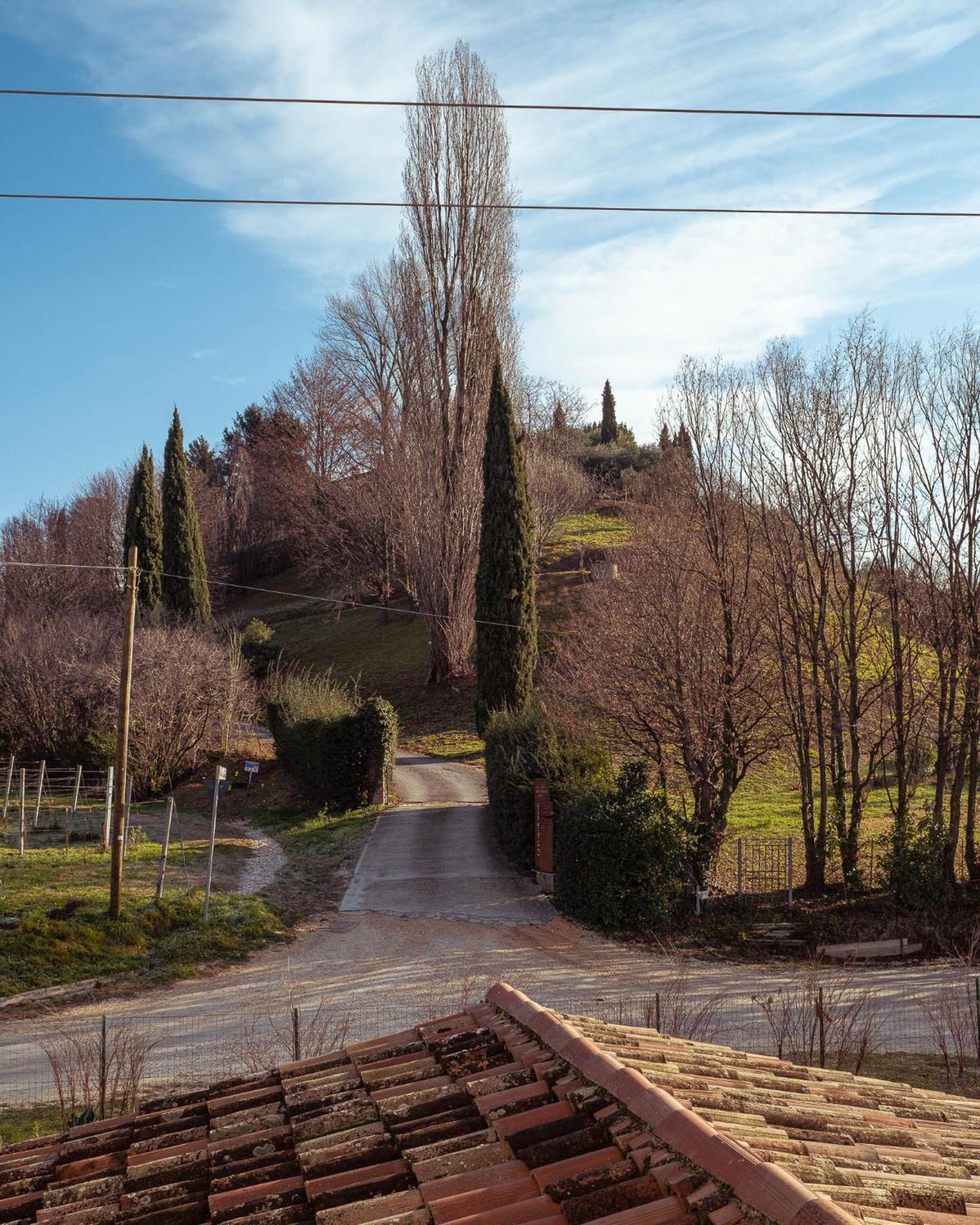 Agriturismo La Vigna Di Sarah Витторио-Венето Экстерьер фото